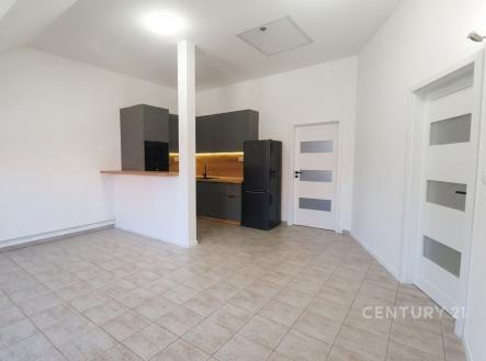 Pronájem bytu, atypický, 69 m²