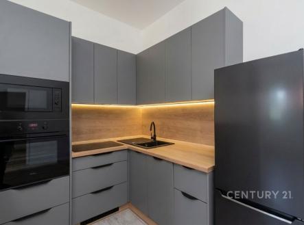 Pronájem bytu, atypický, 69 m²