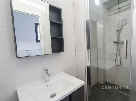 Pronájem bytu, atypický, 69 m²