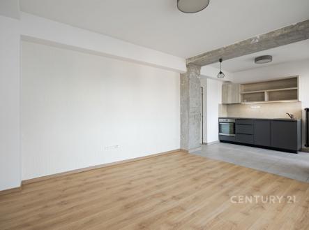 Pronájem bytu, 2+kk, 51 m²