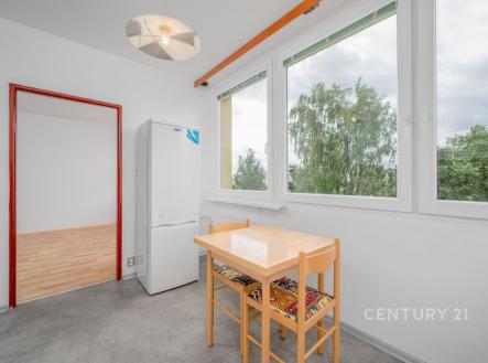 Pronájem bytu, 1+1, 45 m²