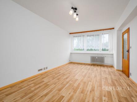 Pronájem bytu, 1+1, 45 m²