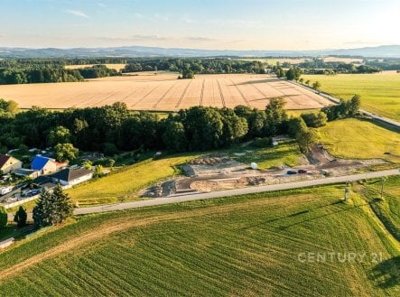 Prodej stavební parcely v mírném svahu s vlastním dubovým hájem, 2 918 m², Radostice u Borovan