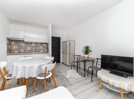 vybavený byt 1+kk s prosklenou lodžií, ul. Hornická, Český Těšín
