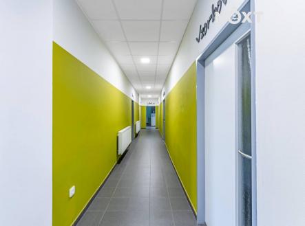 Pronájem komerčního objektu, jiný, 1 095 m²