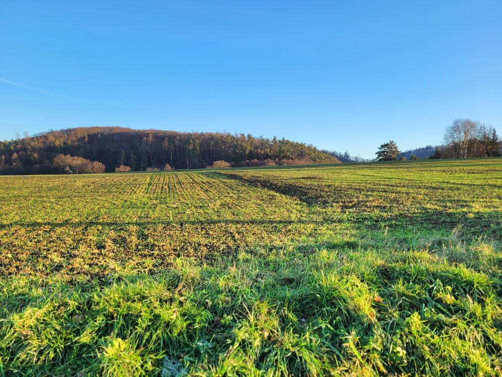Rozsáhlé pozemky u Brna, Moravské Knínice