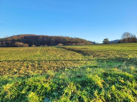 Prodej pozemku, zemědělská půda, 49 000 m²
