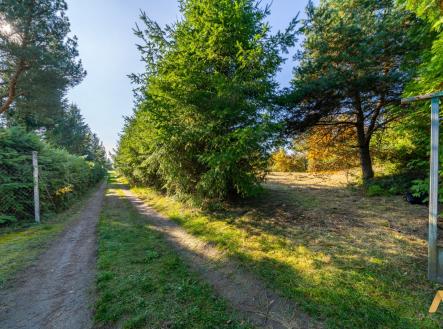 Prodej pozemku pro bydlení, 1 995 m²