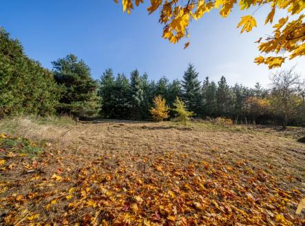 Prodej pozemku pro bydlení, 1 995 m²