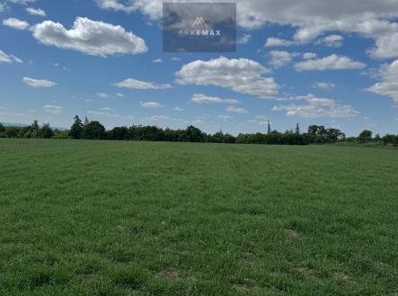 Prodej - pozemek pro bydlení, 2 567 m²