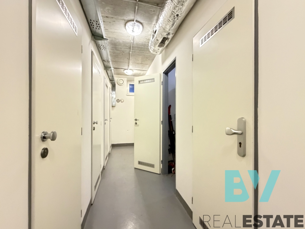 Fotku se nepodařilo načíst.