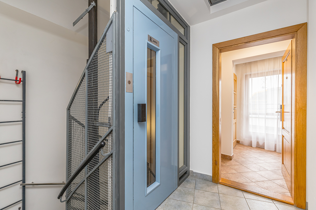 Fotku se nepodařilo načíst.