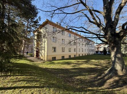 Pronájem bytu, 1+1, 31 m²