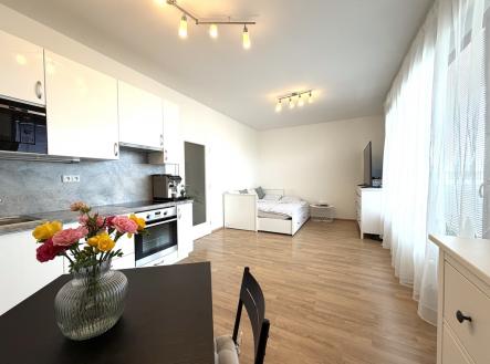 Pronájem bytu, 1+kk, 39 m²