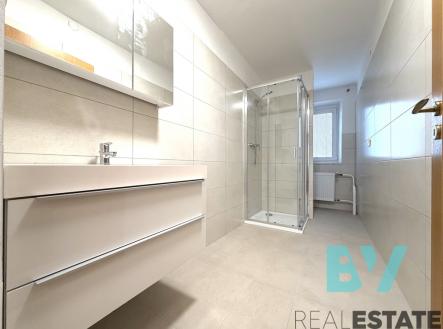 Pronájem bytu, 1+1, 41 m²