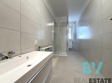 Pronájem bytu, 1+1, 41 m²