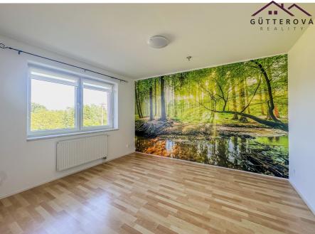 Pronájem bytu, 3+1, 65 m²