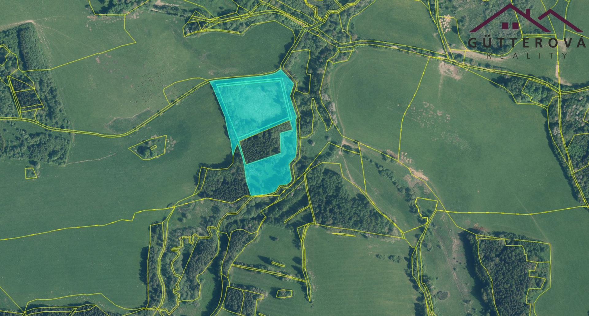 Snímek obrazovky 2026-02-20 v 14.56.40