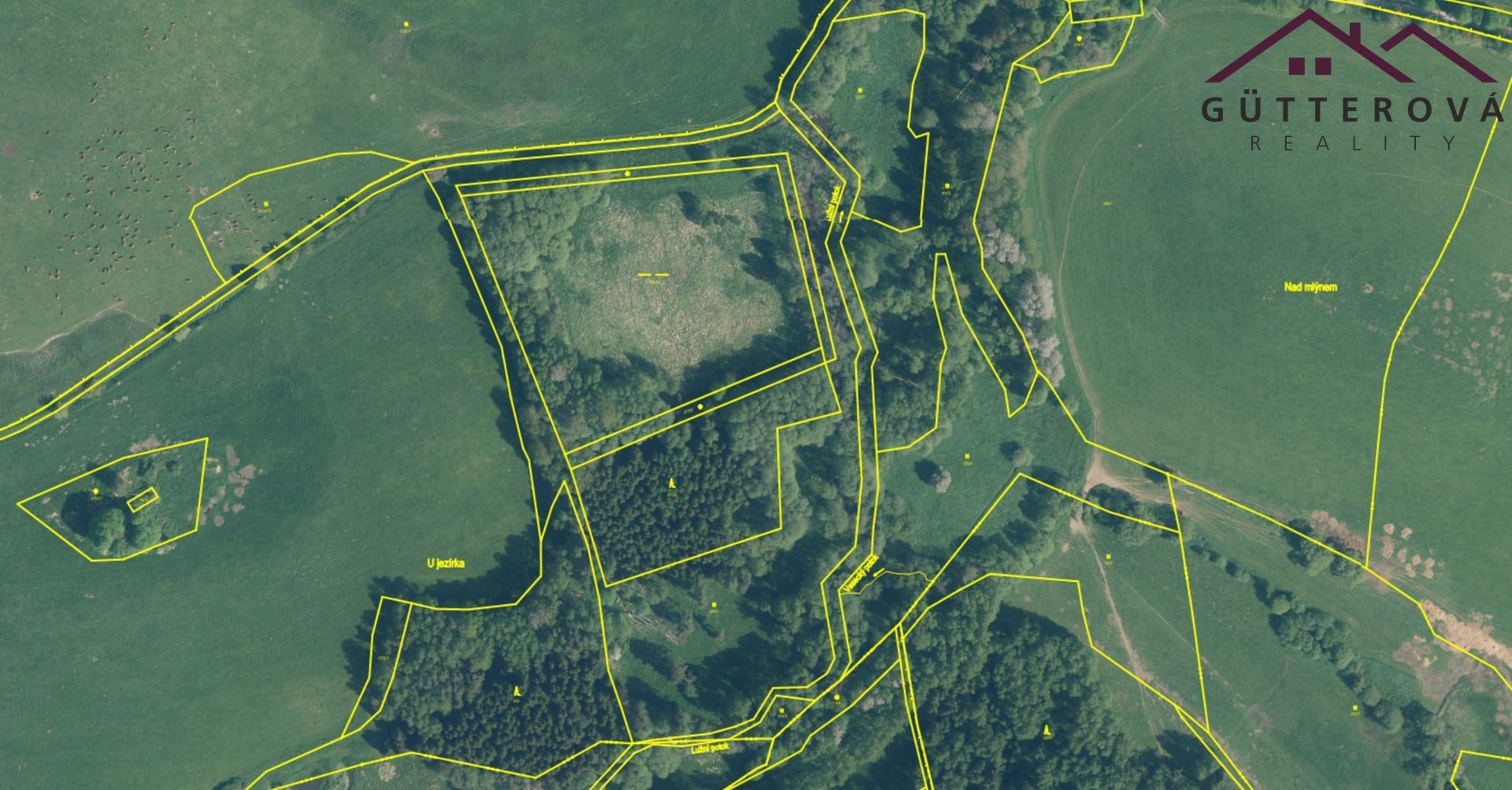 Snímek obrazovky 2026-02-20 v 14.57.23