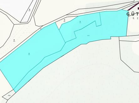 Prodej pozemku, trvalý travní porost, 16 058 m²