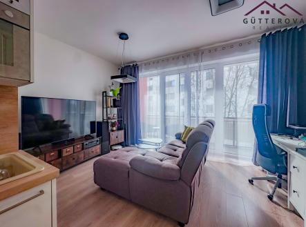 Pronájem bytu, 1+kk, 47 m²