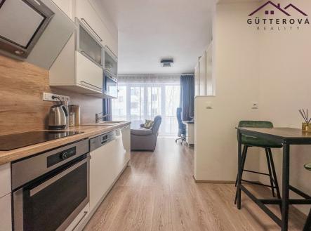 Pronájem bytu, 1+kk, 47 m²