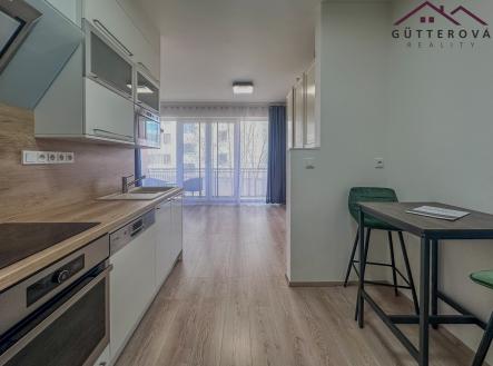 Pronájem bytu, 1+kk, 47 m²