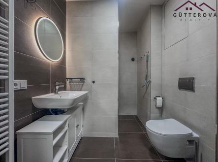 Pronájem bytu, 1+kk, 47 m²