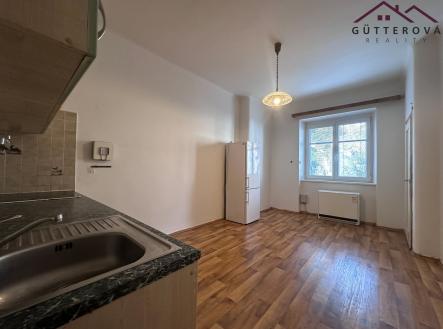 Pronájem bytu, 1+1, 62 m²