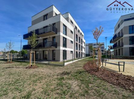 Pronájem bytu, 2+kk, 59 m²