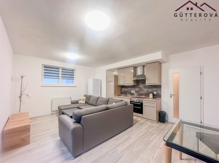Pronájem bytu, 1+kk, 56 m²