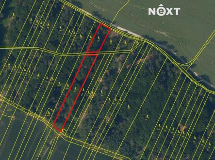 Prodej pozemku, les, 26 205 m²