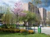 Prodej bytu, 3+1, 75 m²