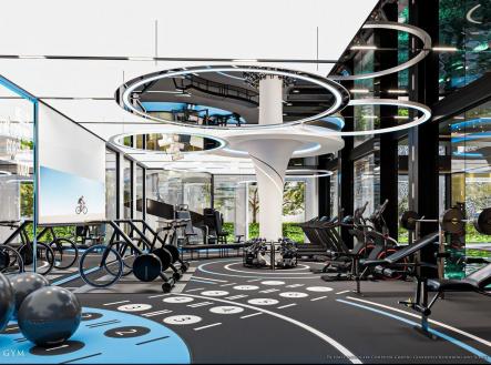 Interactive_Gym2_1460e97e43.jpg