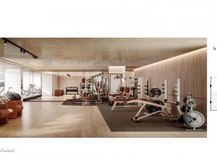 Rendering_Gym_2_a1f4013881.jpg