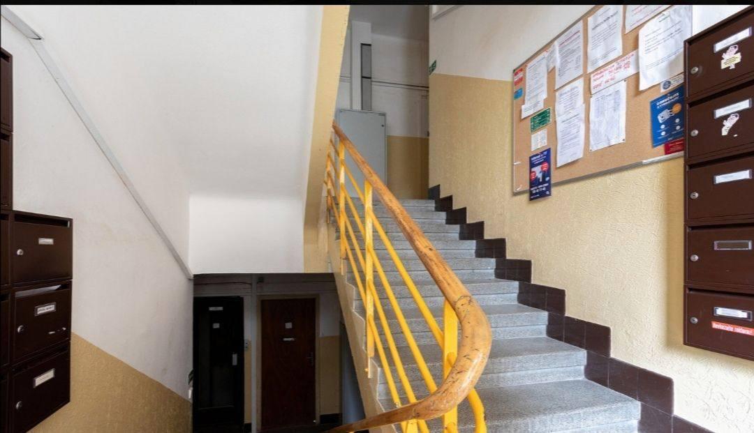 Fotku se nepodařilo načíst.