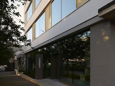 Pronájem kanceláře, 44 m²