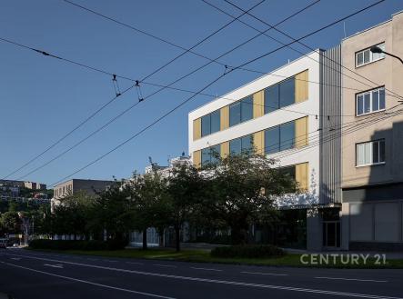 Pronájem kanceláře, 17 m²