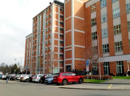 Pronájem obchodní prostor, 135 m²