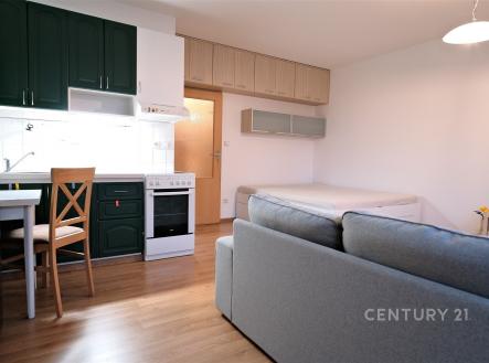 Pronájem bytu, 1+kk, 32 m²
