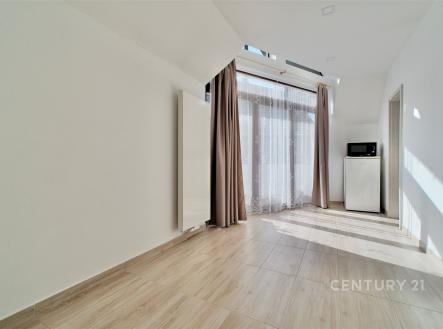 Pronájem bytu, 1+1, 27 m²