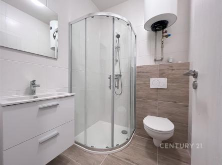 Pronájem bytu, 1+kk, 28 m²