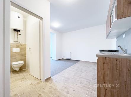 Pronájem bytu, 1+kk, 28 m²