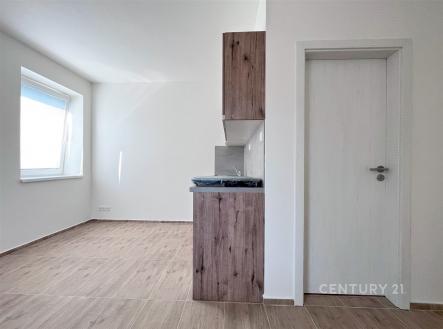 Pronájem bytu, 1+kk, 23 m²