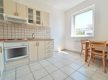 Pronájem bytu, 1+kk, 43 m²