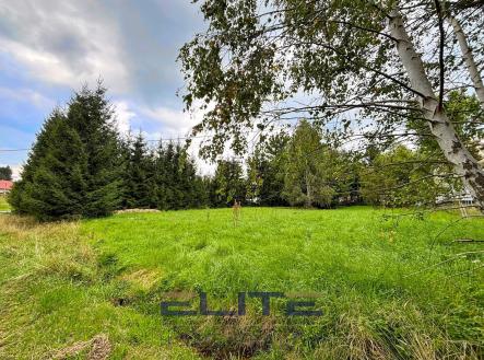 Prodej pozemku pro bydlení, 1 569 m²