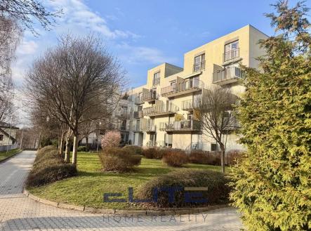 Pronájem bytu, 1+1, 58 m² obrázek