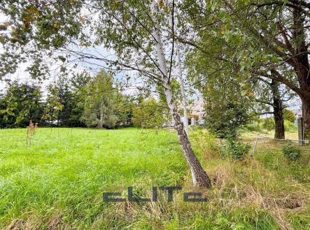 Prodej pozemku pro bydlení, 1 569 m²