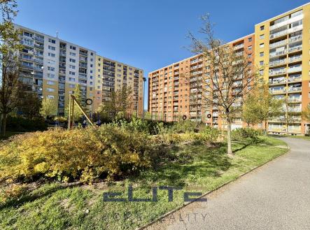 Prodej bytu, 2+kk, 43 m²
