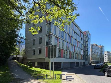 Pronájem